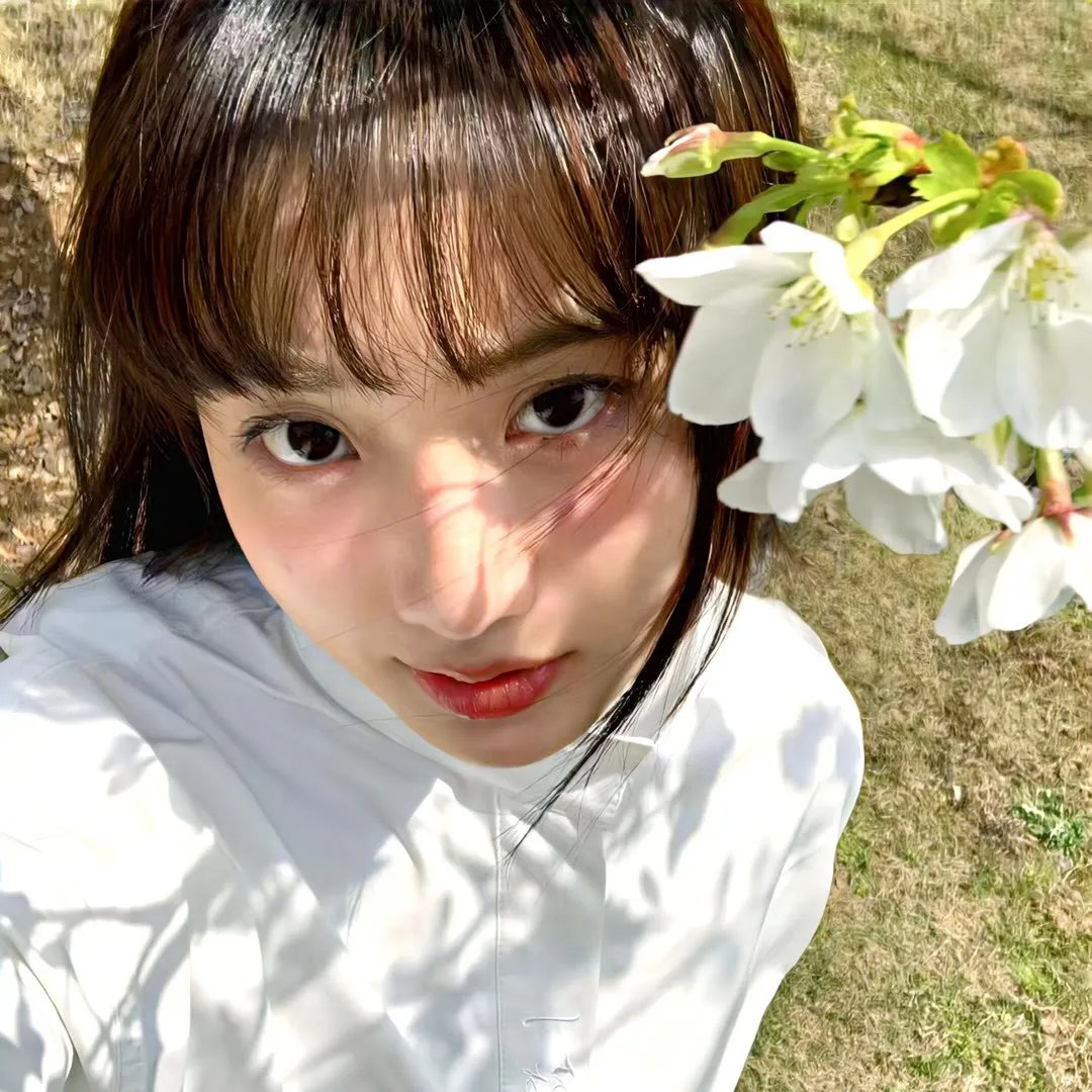 如燕而至 海报