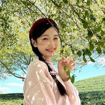 别墅与客人 海报